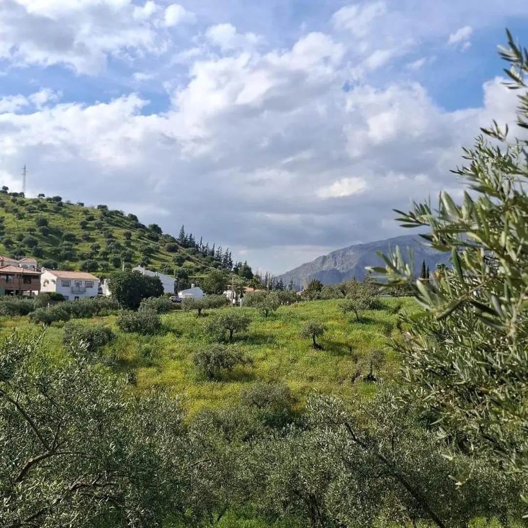 אלורה Villa Bellido